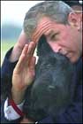 Bush salutes while
holding Barney